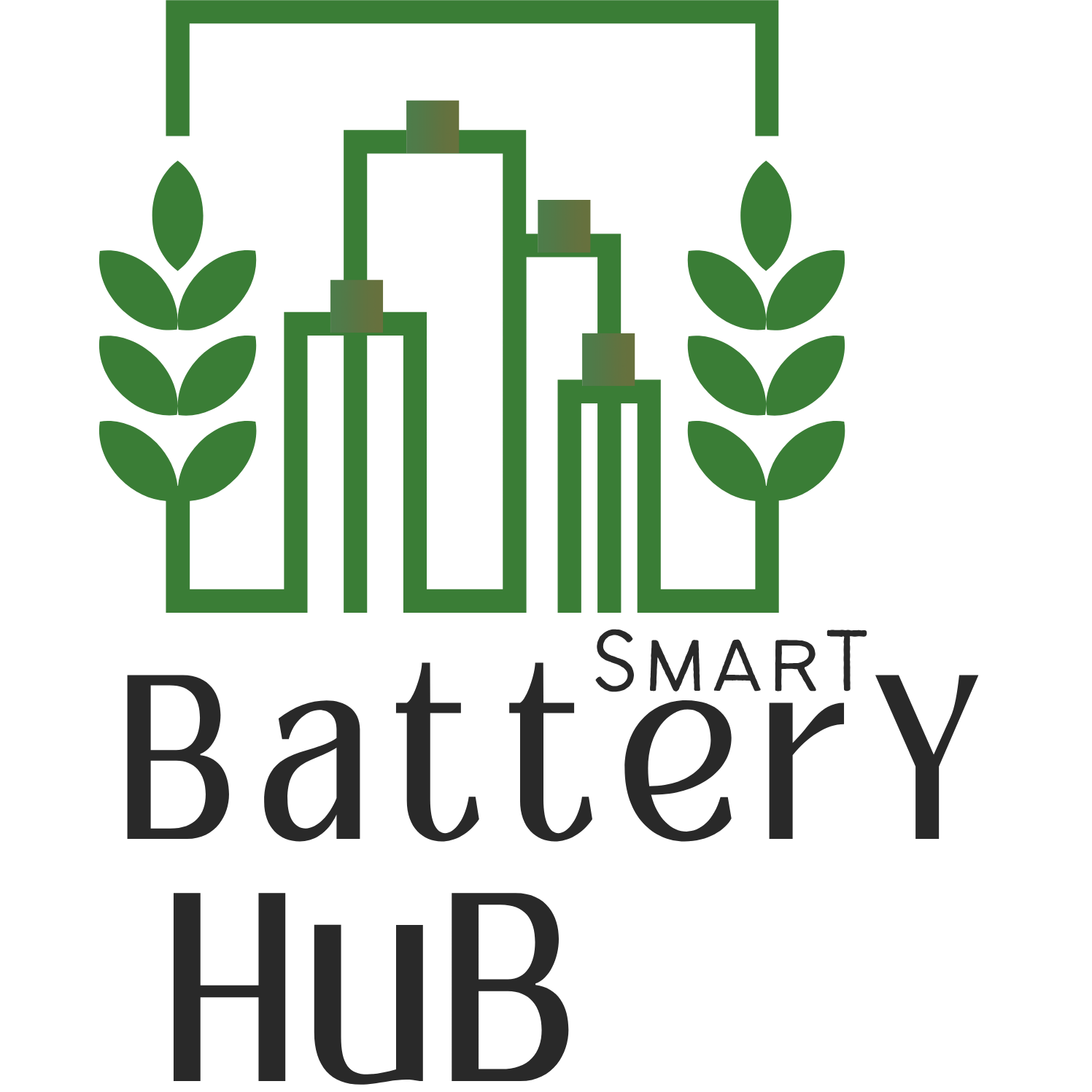 Smart Battery Hub